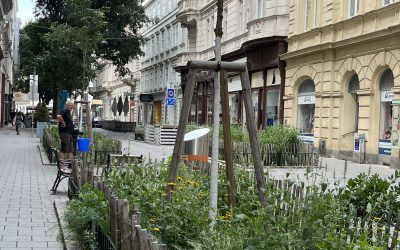 Szabályról és kontrollról napsütötte stílusban